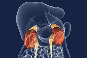 Causes of adrenal tumors